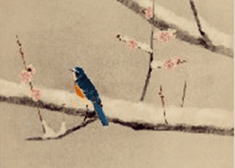 上村淳之作:雪中小禽