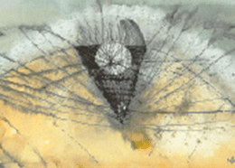 難波田史男作:中心を求めて